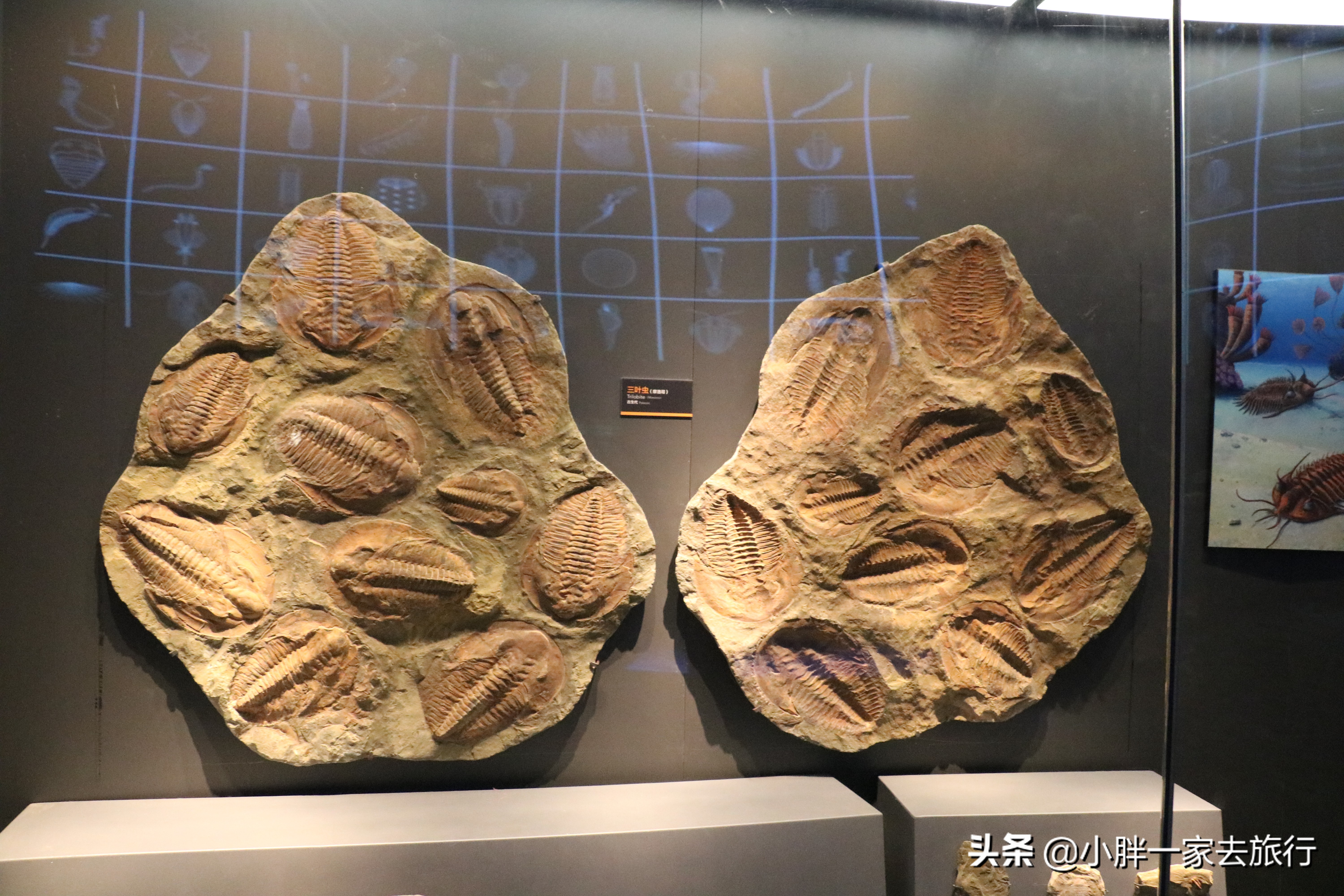 最大的北京海洋博物馆,海上故宫国家海洋博物馆