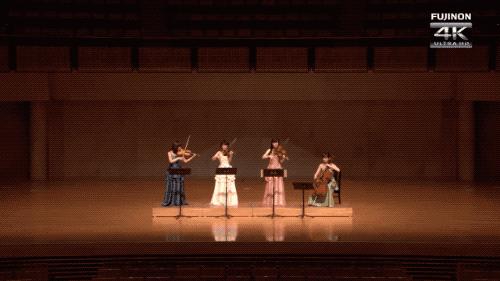 怎么知道网上的视频是不是专业摆拍？