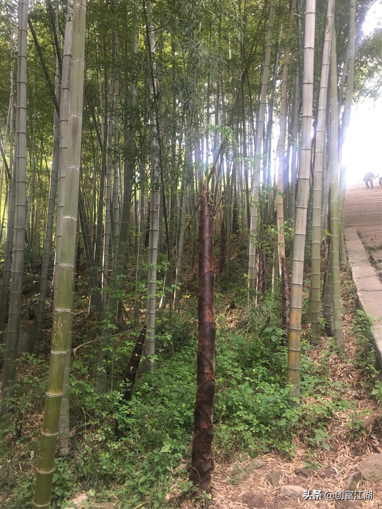 黄梅佛教在中国地位,黄梅禅宗之源