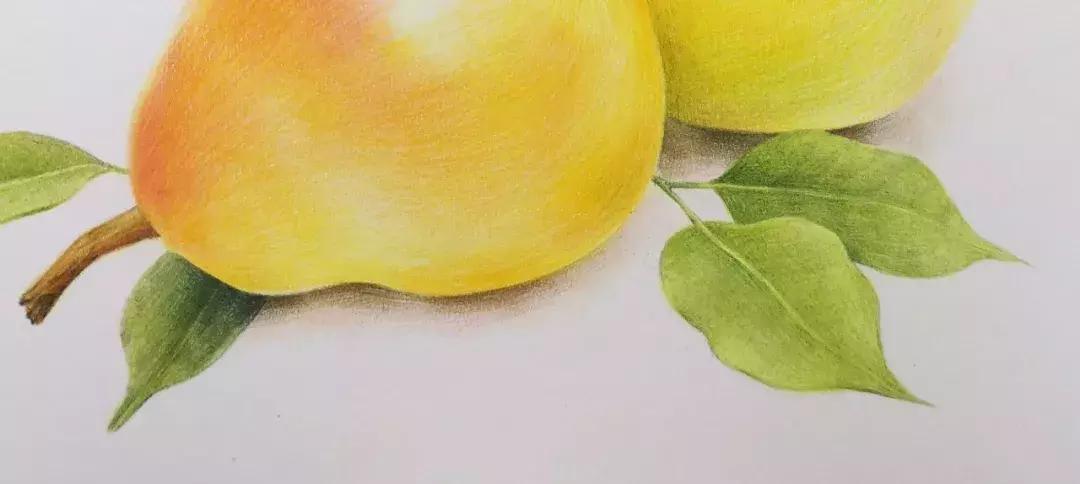 香梨彩铅画,彩铅肉肉的画法