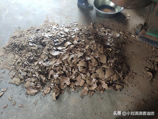 菜籽饼打窝钓鱼最佳用法,菜籽饼打窝钓鱼是冬天还是夏天好