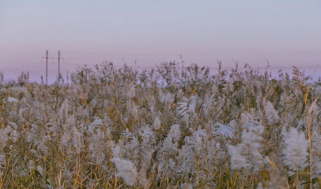 山东东营位置,这就是东营