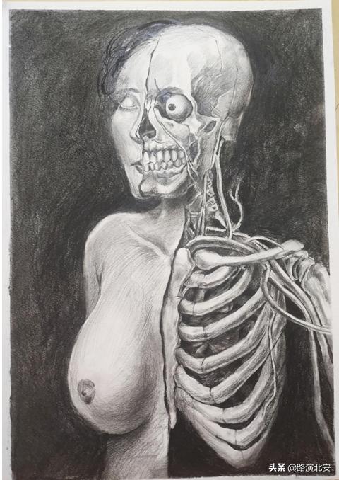 生命的故事绘本视频,生命的故事绘本绘画