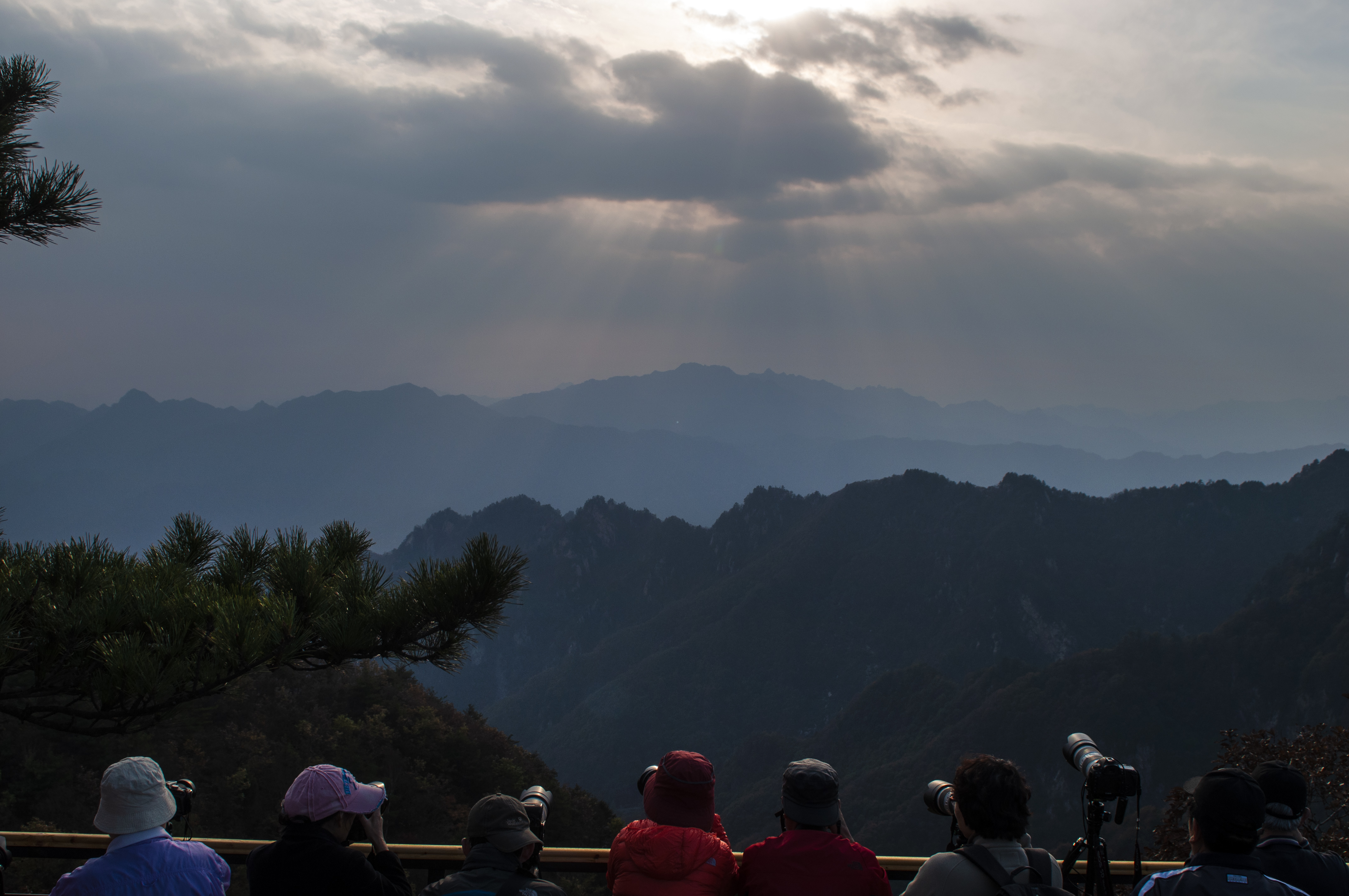 老界岭夏日风景,深秋山里的风景