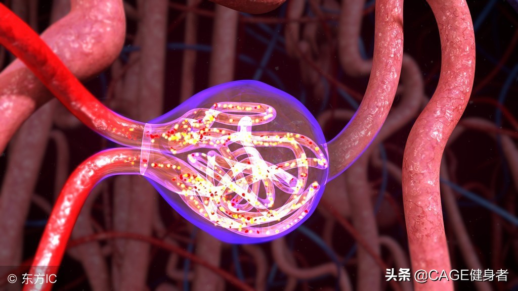 产后妈妈恢复身材的四个动作,产后妈妈的身体变化