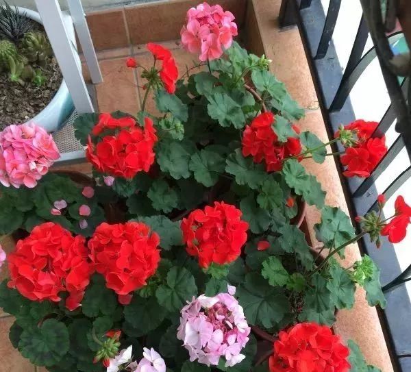 做花针的方法,学做花针