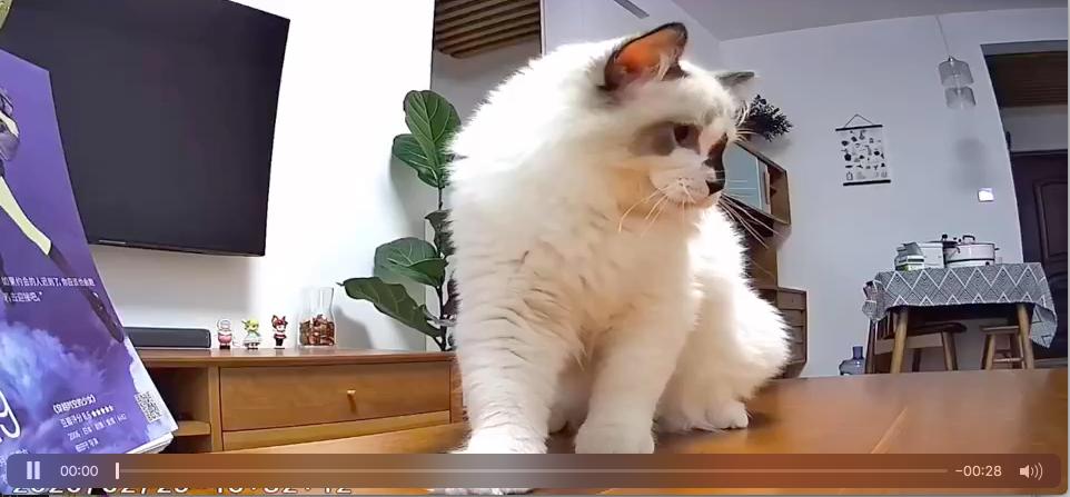 荣耀hq3s摄像头几个镜片,荣耀hq3摄像头可以用畅连通话吗