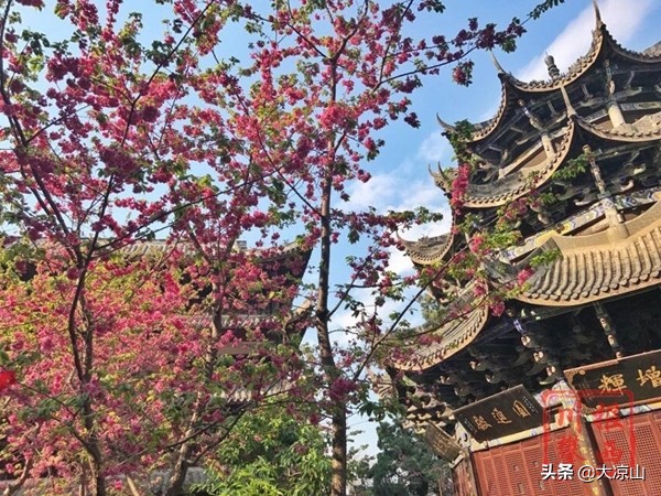 这就是灌篮3凉山黑鹰完整版,这就是篮球第三季凉山黑鹰队