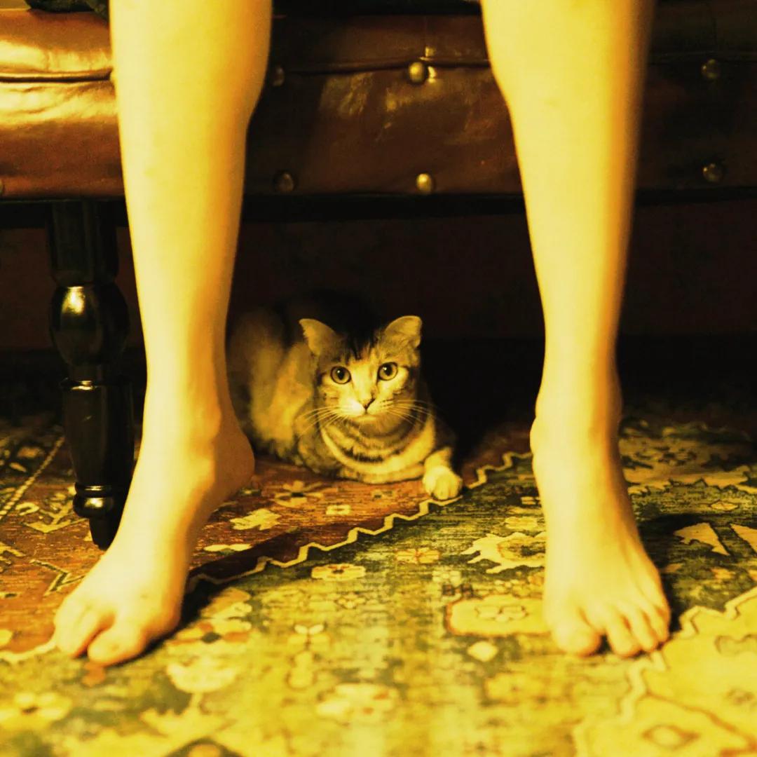 娣卞湷榫欏矖鏃楄鎷嶆憚鍐欑湡,娣卞湷榫欏矖鎷嶇収鍐欑湡鏃楄