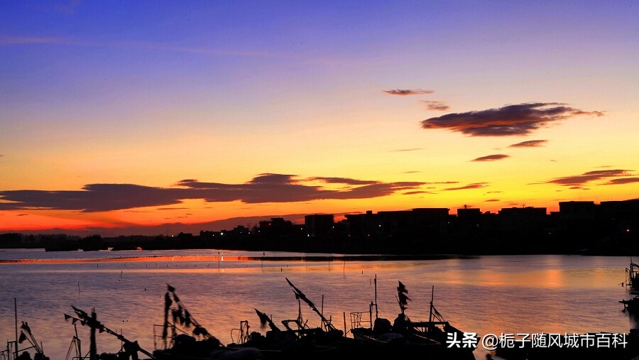 汕尾一共几个区,广东汕尾的市级行政区是什么