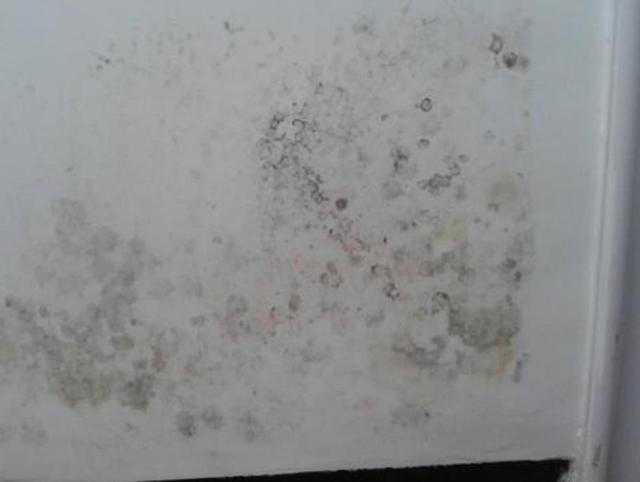 居家最实用的打扫工具,20件让家里变整洁的清洁好工具