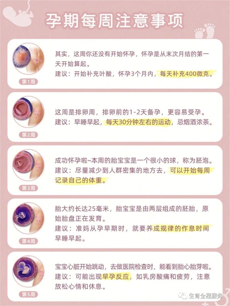 每一位准妈妈最可信赖的孕期指南,孕期1-40周应注意事项