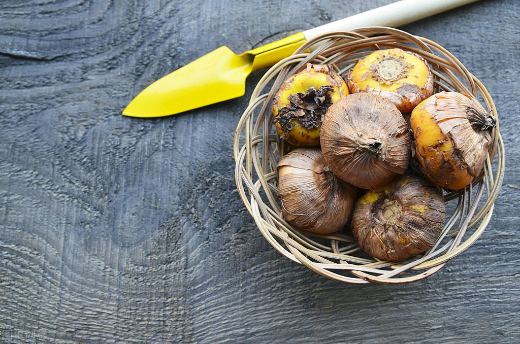神经性耳鸣吃什么中药方最好,神经性耳鸣中医辨证论治