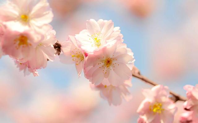 如果你被喜欢的人讨厌那该怎么办呢？