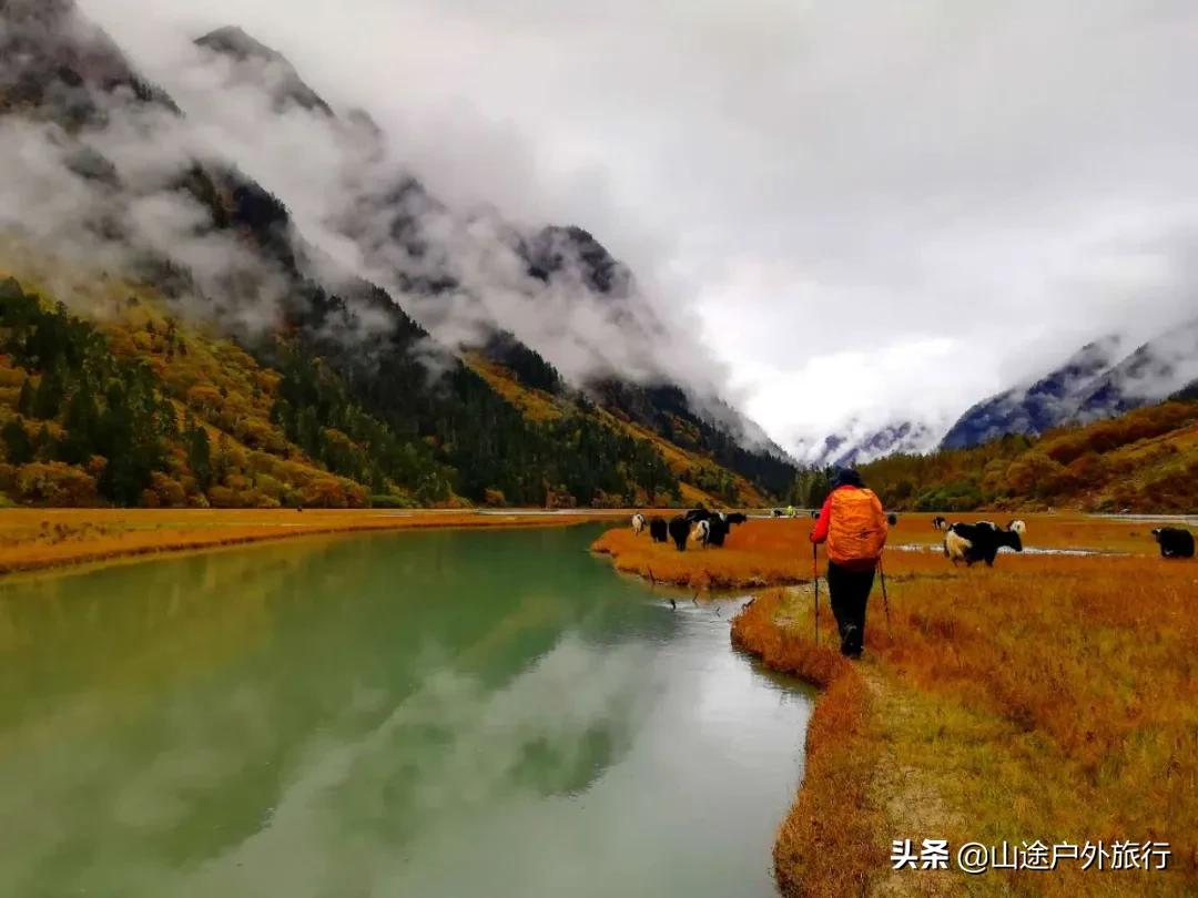 步步惊心的一天,步步惊心12剧情