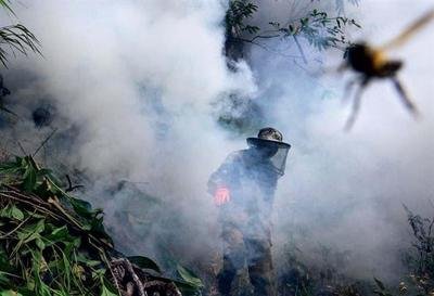 喜马拉雅山悬崖上采蜜人,喜马拉雅山采蜜人完整版
