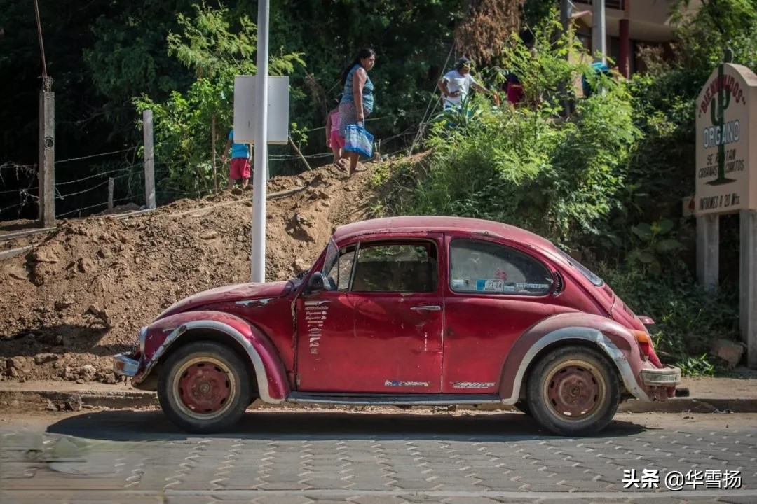 在这里你可以看到绚烂多彩的甲壳虫,因为他们是这里的精灵
