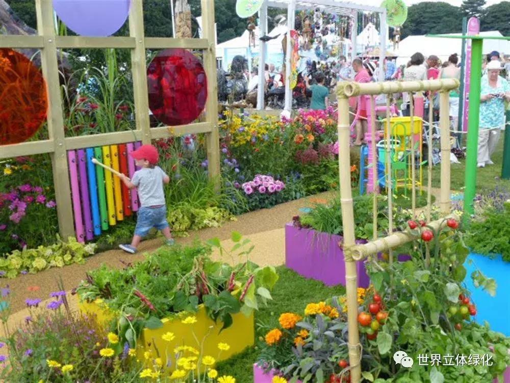 为什么园艺疗法能快速发展,园艺疗法的应用领域