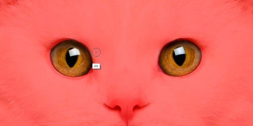 怎么在ps中更改照片底色,ps怎么改人的眼睛颜色