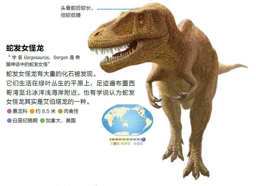 世界上知识点最全的恐龙百科全书,恐龙百科全书恐龙世界的无穷奥秘