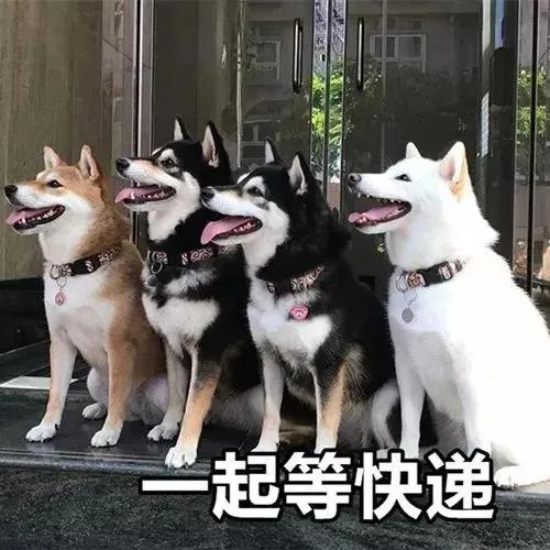 各种让人一看就想买东西的文案,姐妹朋友圈文案可爱沙雕