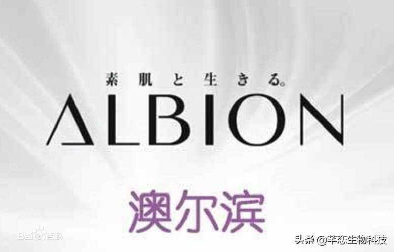 日本妹子必买护肤品,日本女生必买粉底