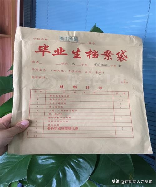 档案还在自己手里成为死档怎么办,档案拿到自己手里多少年是死档