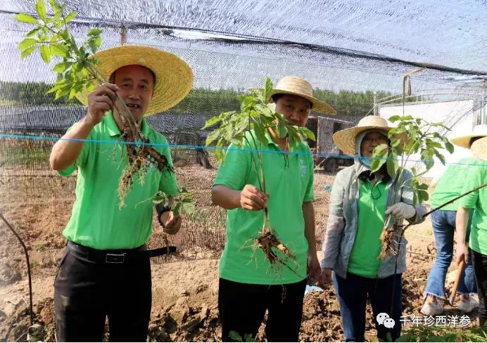 国大药房头条事件,国大药店事件