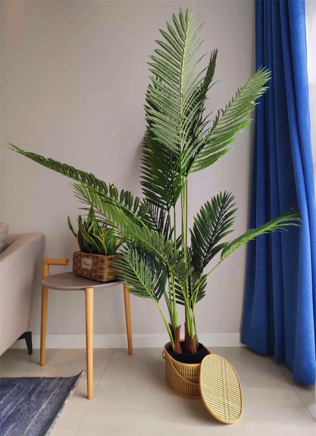 一家三口一间房设计吐槽,一家三口住在一个房间该怎么设计