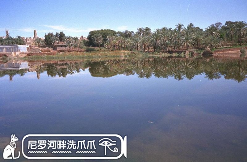 古埃及贵族,古埃及王室奢靡生活