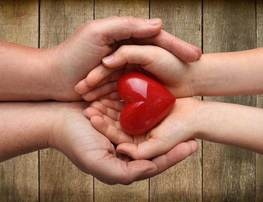 半岛聚焦丨一名弃婴近百家庭求领养！数据画像详解热线背后的妈妈梦