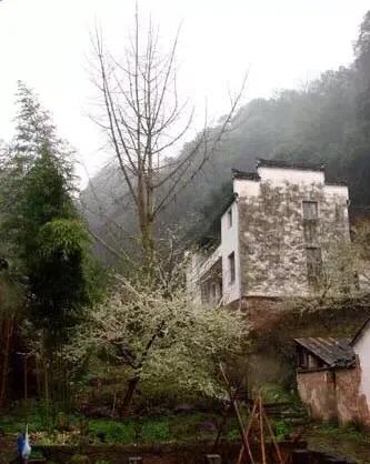 状元第一县休宁,状元文化书法