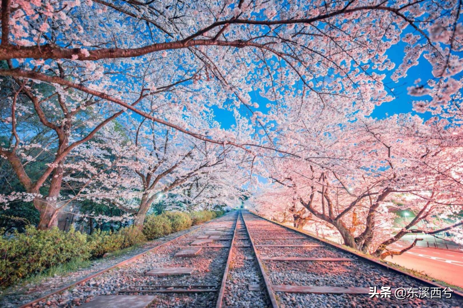 荔枝季（续）•从《过华清宫绝句三首》漫看唐朝盛衰的生死时速