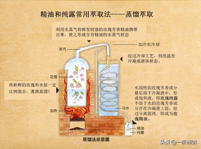 香水平替好物推荐,香水平替推荐蔚蓝