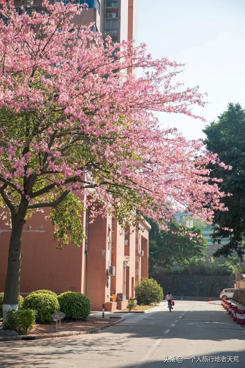 这才是12月最值得去的旅行地,11月12月去哪里旅游最美