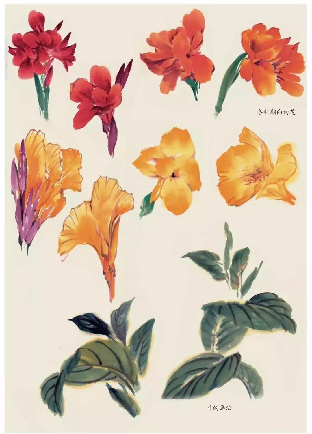 国画团扇花卉画法,国画中常见花卉的画法