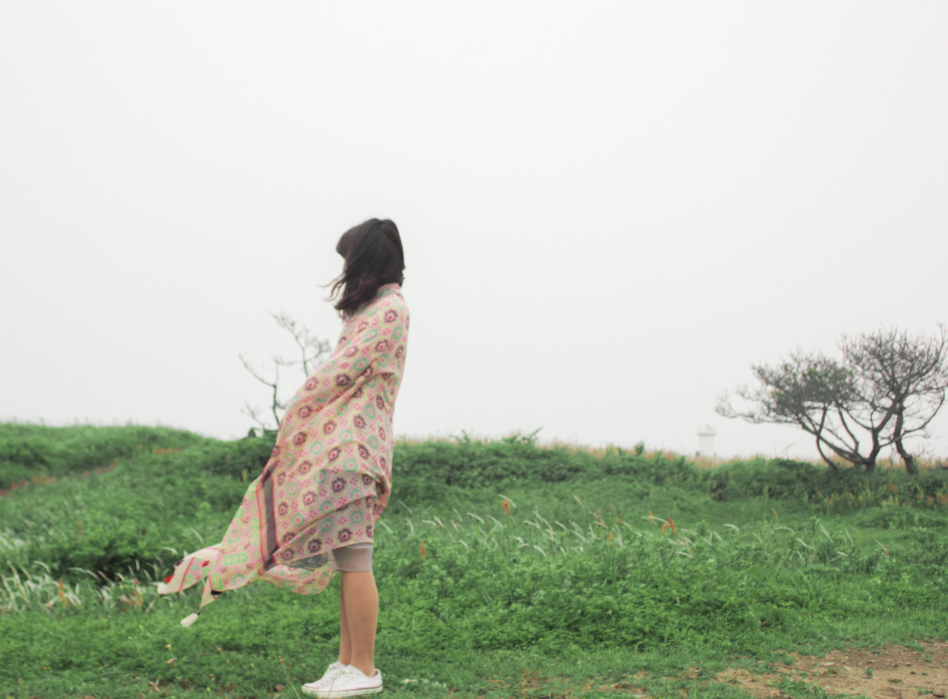 济州岛最美线路,济州岛好玩的攻略