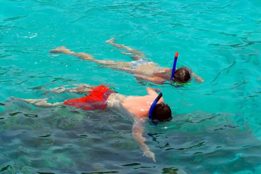 值得去的海岛城市 (更值得去的海岛)