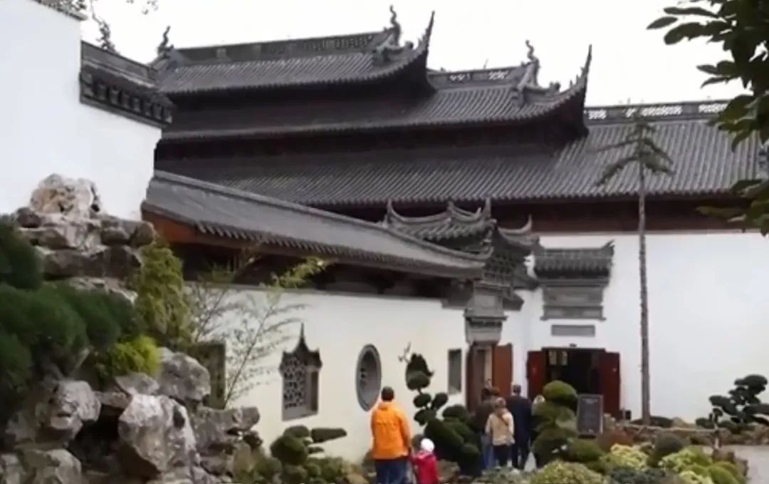 外国人为什么这么喜欢大熊猫呢,外国人究竟有多爱大熊猫