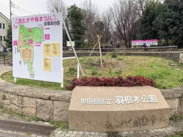 日本儿童危险公园,日本儿童公园危险吗