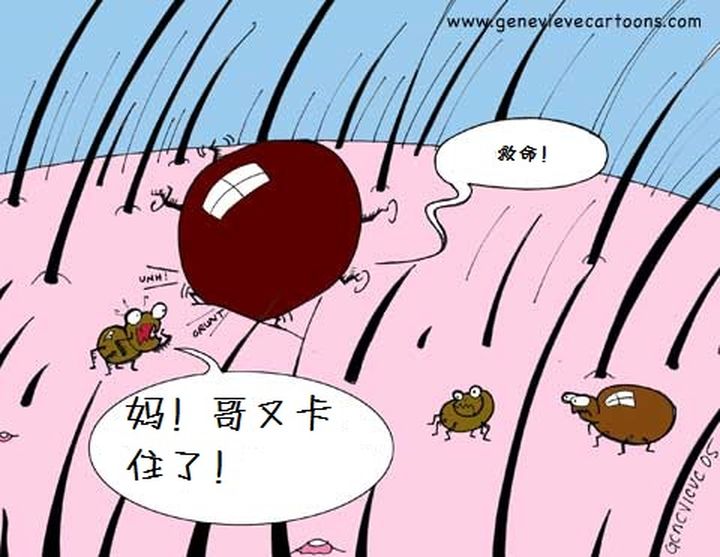 孩子被蜱虫叮咬千万不要大意,蜱虫高发季身上冒出小黑点别大意