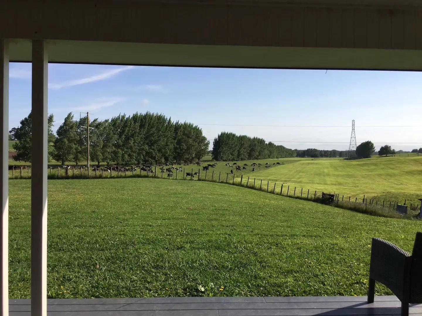 记忆中的旅行之新西兰(北岛)