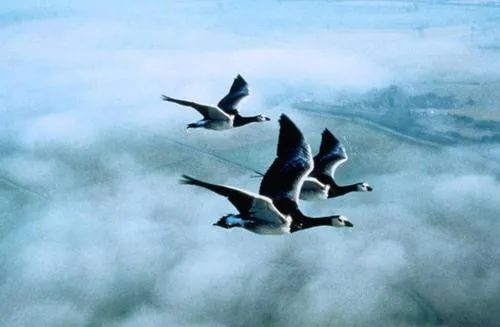 投资8亿学校,投资近4亿的学校