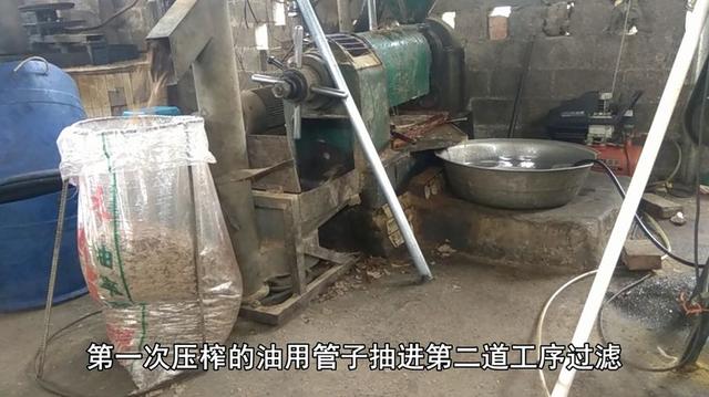 专家说农村自榨花生油不能吃,小伙公开榨油过程,专家不说话了