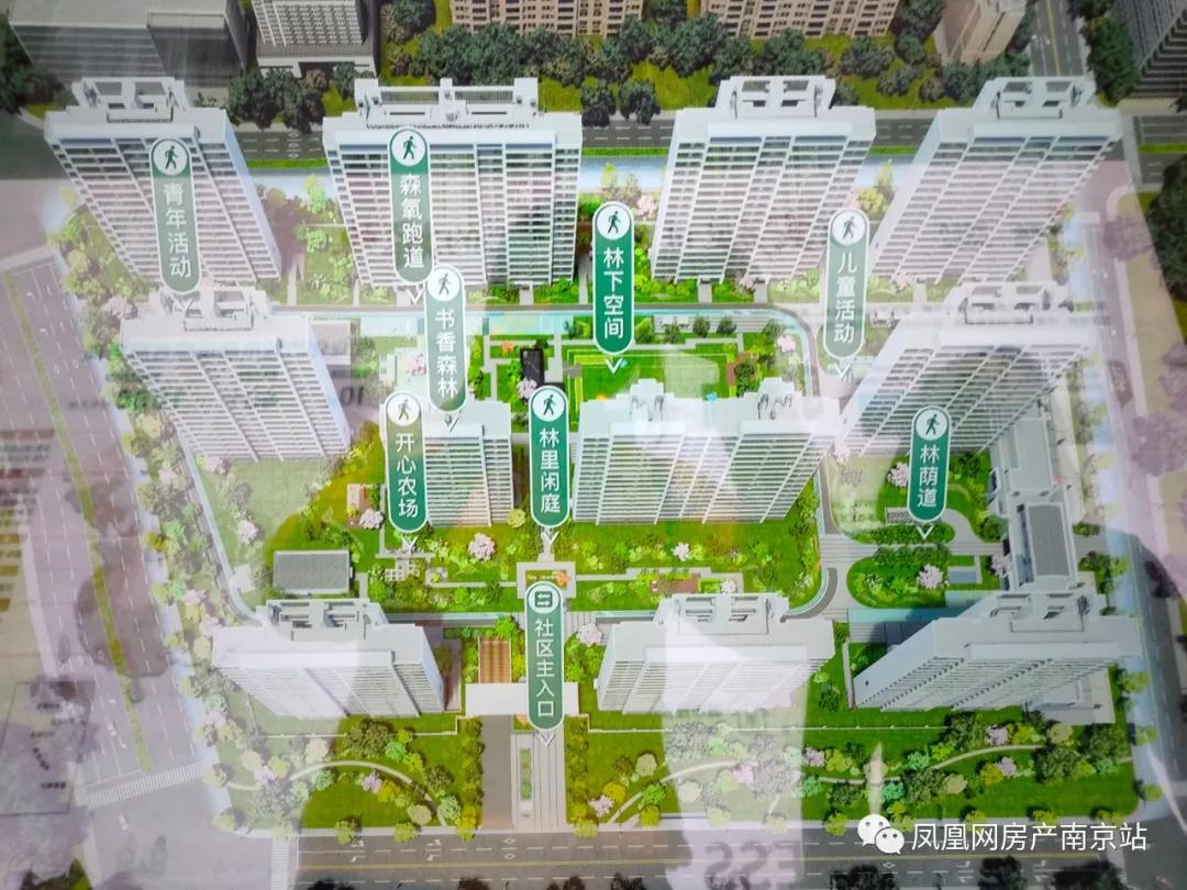 开心农场小区种菜,小区住户在院内玩开心农场