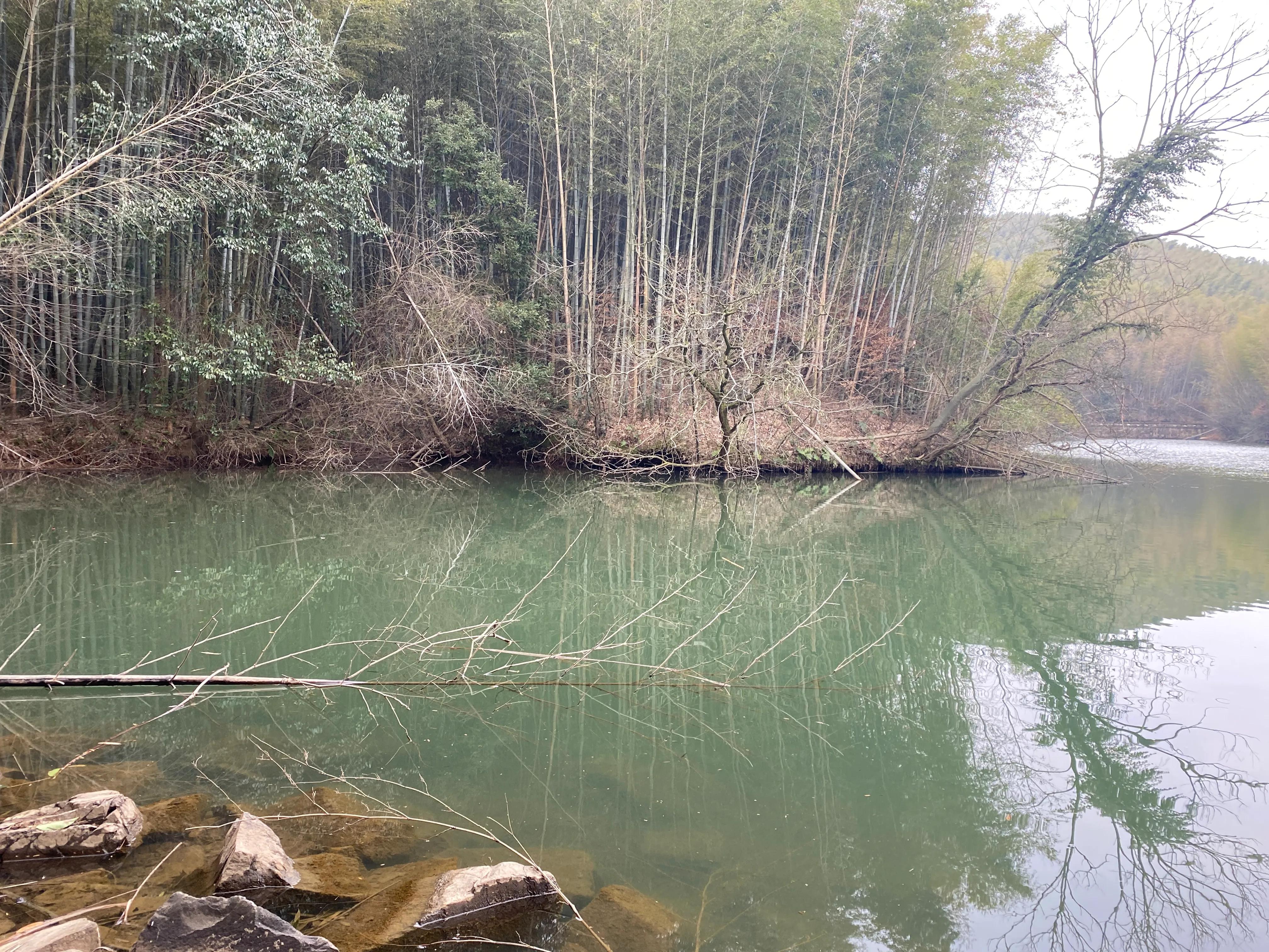 石塘竹海九寨沟,小九寨沟天然氧吧