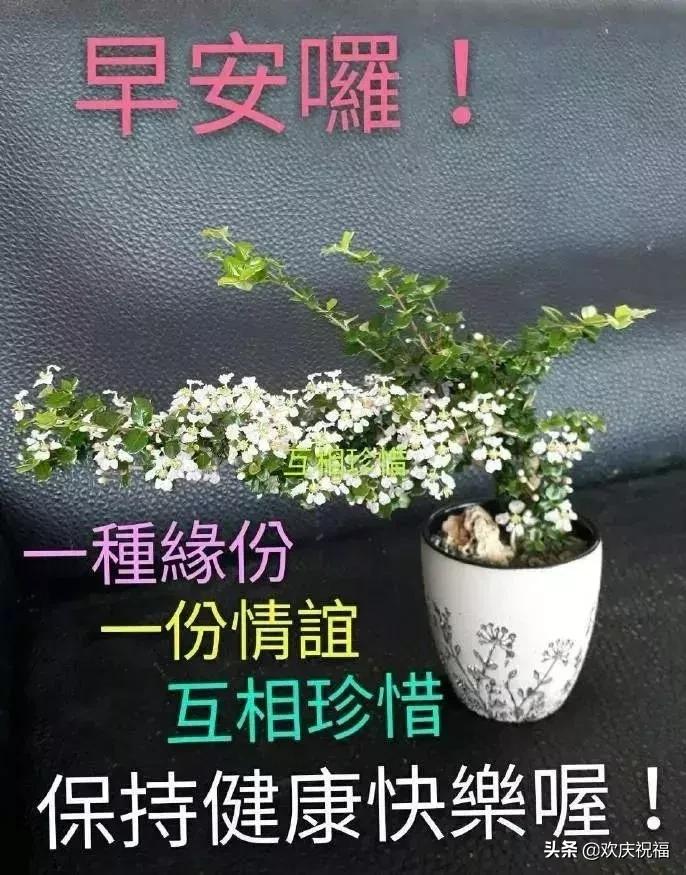 超漂亮的早上好祝福语动画表情图,超赞早上好问候漂亮图片表情带字