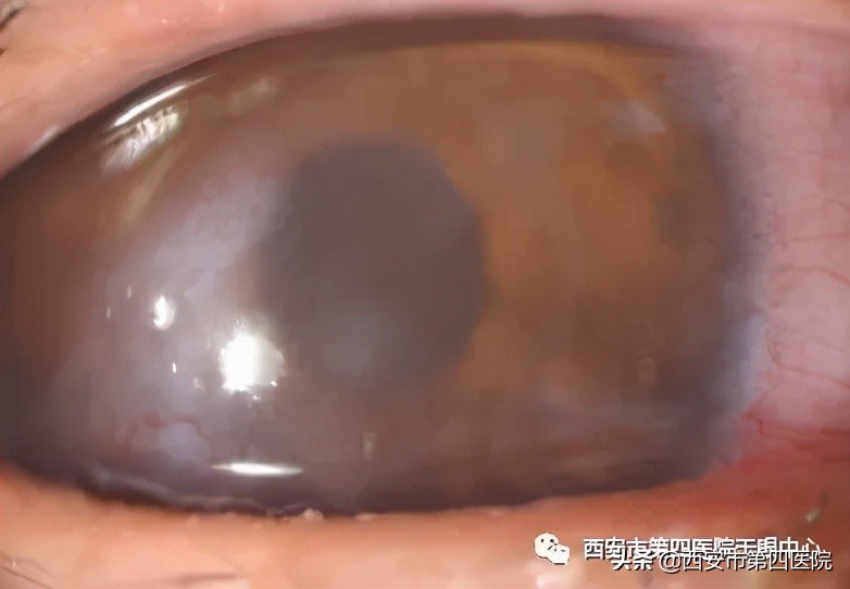 健康中国行动要应对的具体问题,健康中国行动2019-2030主要内容