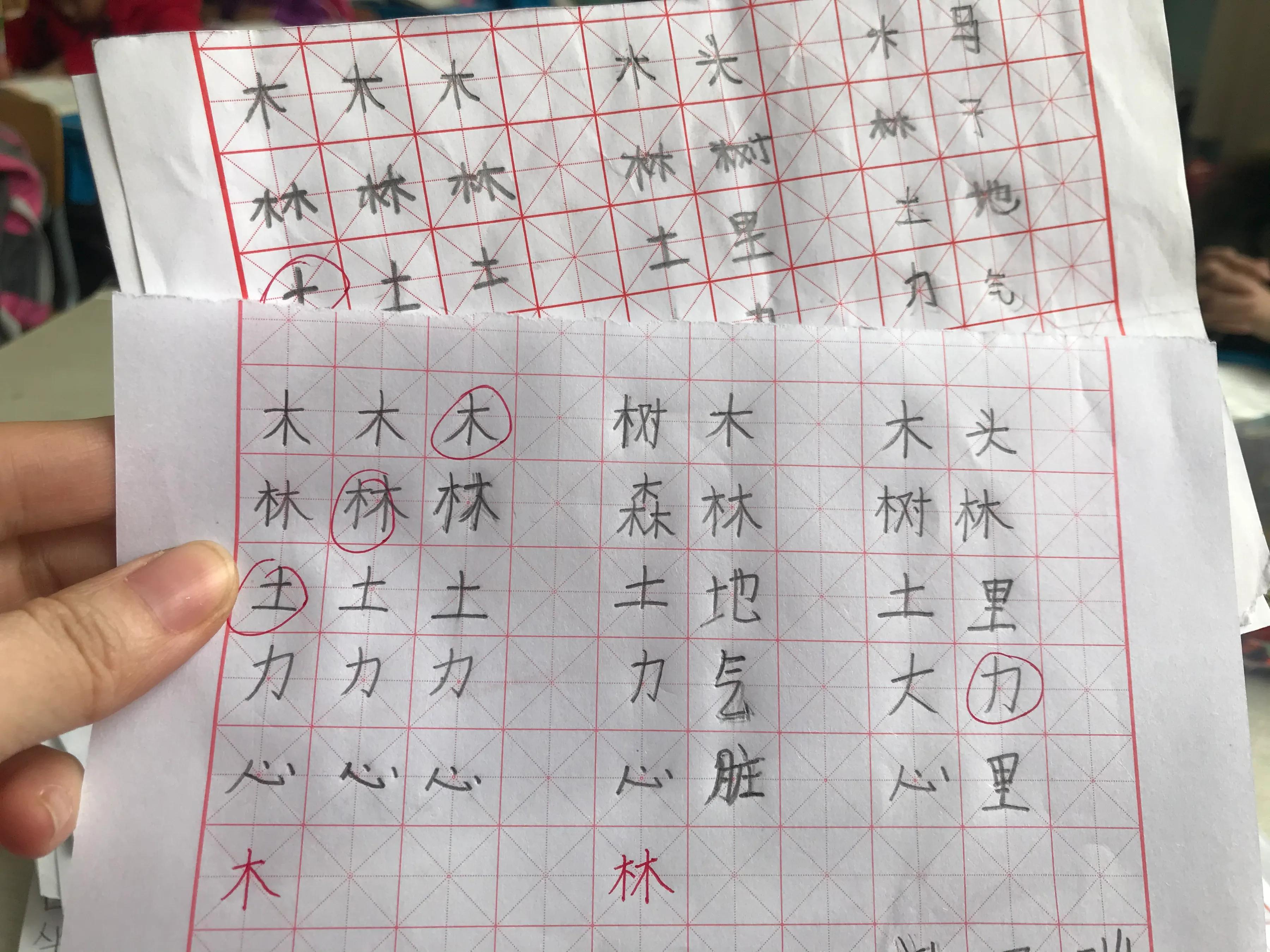 写字教学经验交流,写字课教学技巧和注意事项