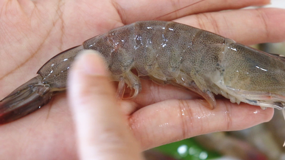 超市卖的冻鲜虾是河虾还是海虾,卖的虾和冻虾怎么区别